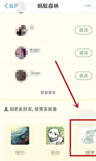 支付宝蚂蚁森林如何添加好友   全福编程网