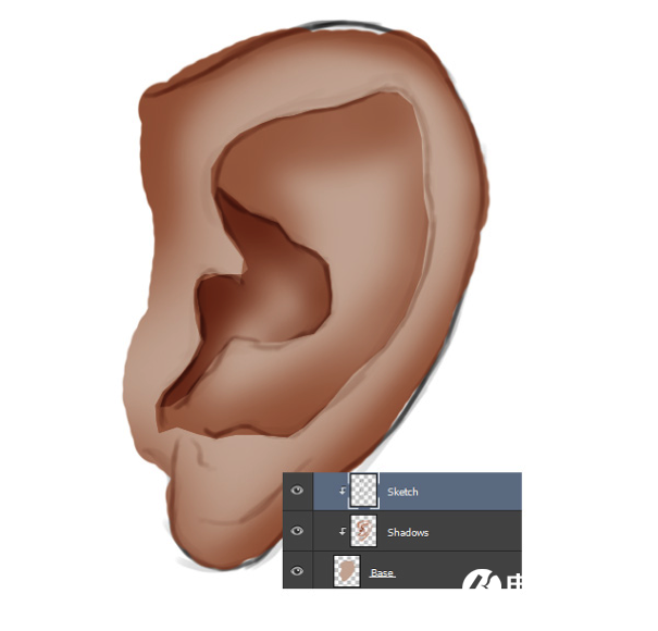 PS画出逼真人耳效果  PS绘制逼真人耳朵教程