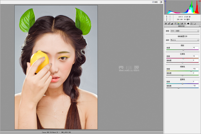 201421614534671 在Photoshop中打造水果妆面的人像图片后期修图教程