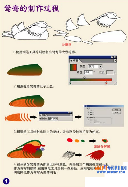 Illustrator绘制矢量鸳鸯戏水图 全福编程网