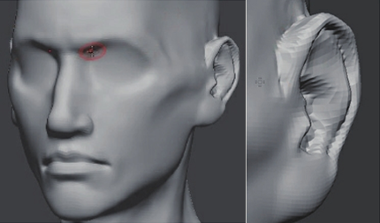 zbrush,zbrush头部雕刻,zbrush雕刻