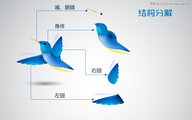 Illustrator制作可爱的蜂鸟教程,PS教程,思缘教程网