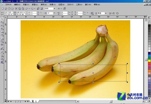 CorelDraw网格实例:香蕉制作详解 