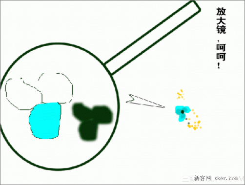 fireworks制作牡丹图解教程_新客网