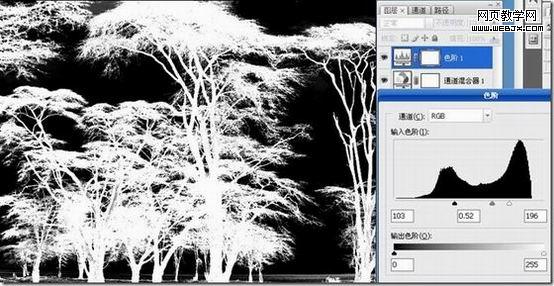 photoshop抠图教程-利用反相操作抠出复杂树木