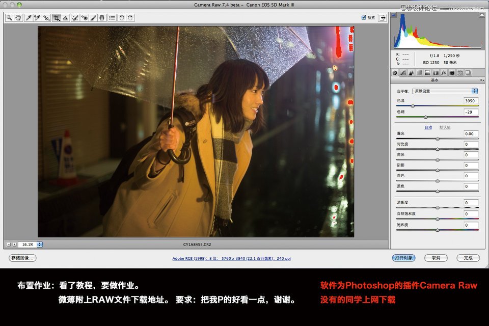 CameraRaw调出雨夜外景惊艳的冷色效果,PS教程,思缘教程网