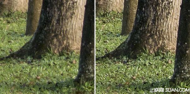Photoshop巧用高反差保留无损锐化照片