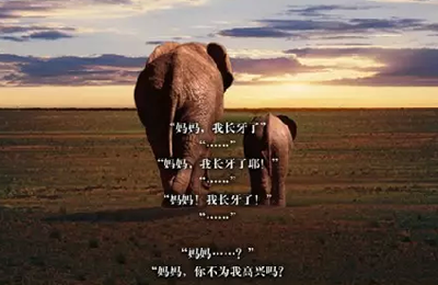 如何写有代入感的文案：可怜的旧情人，看不到我的新内衣  全福编程网