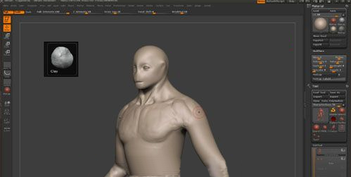 ZBrush雕刻肌肉,zbrush雕刻