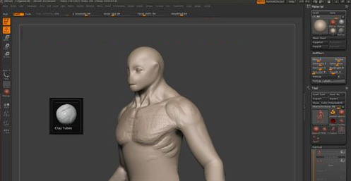 ZBrush雕刻肌肉,zbrush雕刻