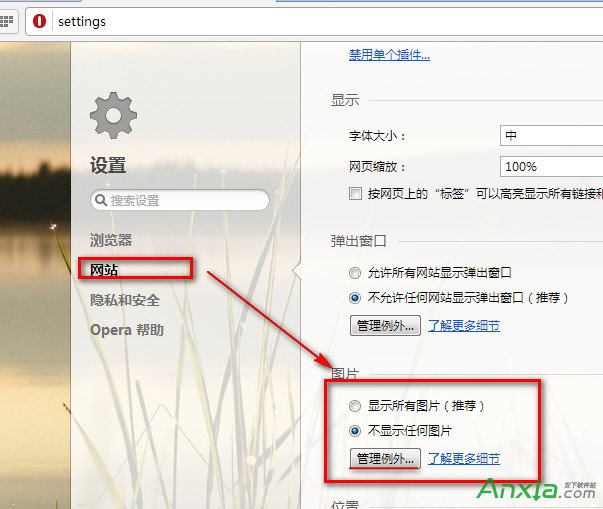 opera浏览器怎么设置不显示图片,opera浏览器设置不显示图片,opera浏览器,opera浏览器指向的显示图片,opera浏览器不显示任何图片
