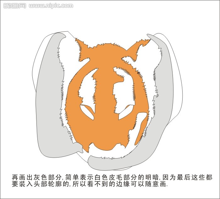 CDR绘制可爱的幼虎 脚本之家 CDR实例教程