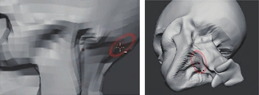 ZBrush,ZBrush雕刻,zbrush头部雕刻