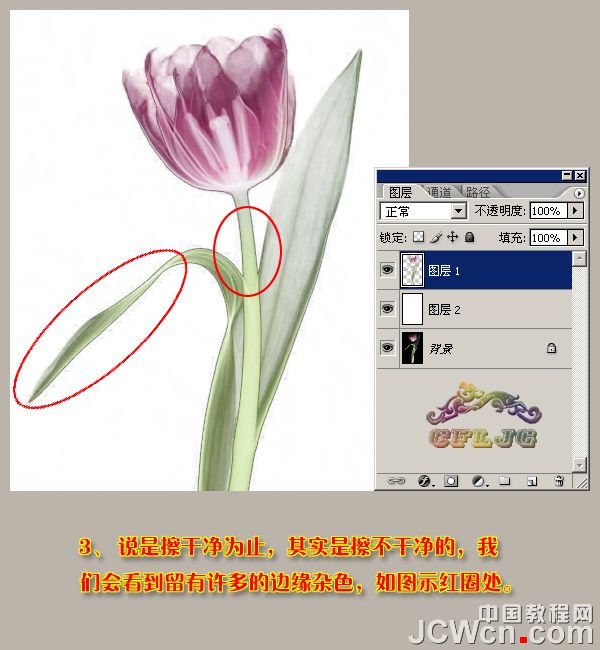 Photoshop使用背景橡皮擦工具抠图实例,PS教程,思缘教程网