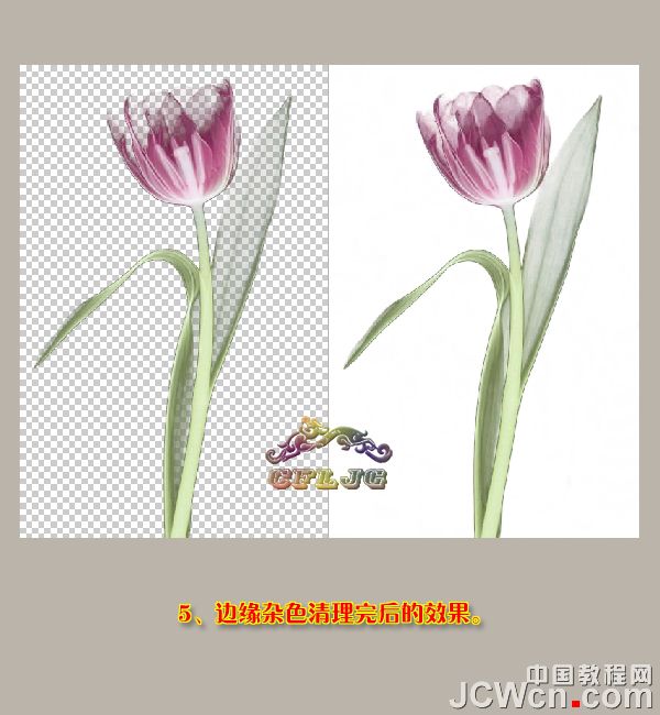 Photoshop使用背景橡皮擦工具抠图实例,PS教程,思缘教程网