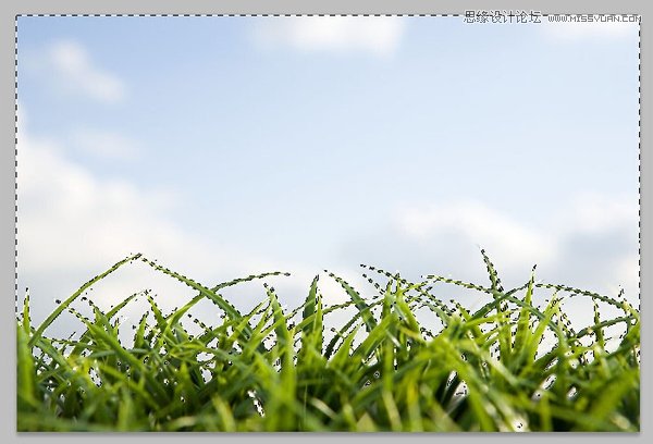 Photoshop巧用色彩范围抠出小草效果图,PS教程,素材中国网