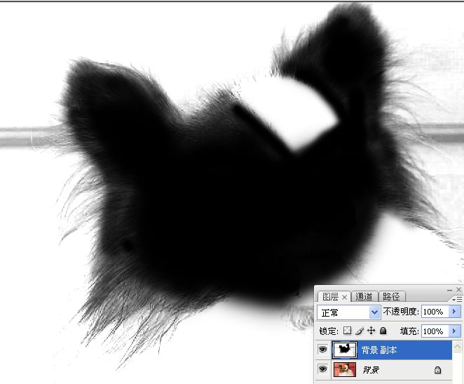 学习对毛发较多宠物狗抠图的PS技巧