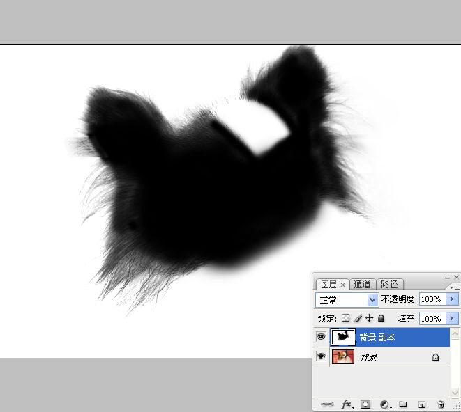 学习对毛发较多宠物狗抠图的PS技巧