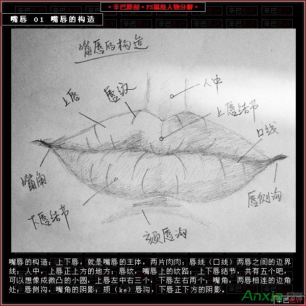 PS如何鼠绘人物嘴唇图片 全福编程网