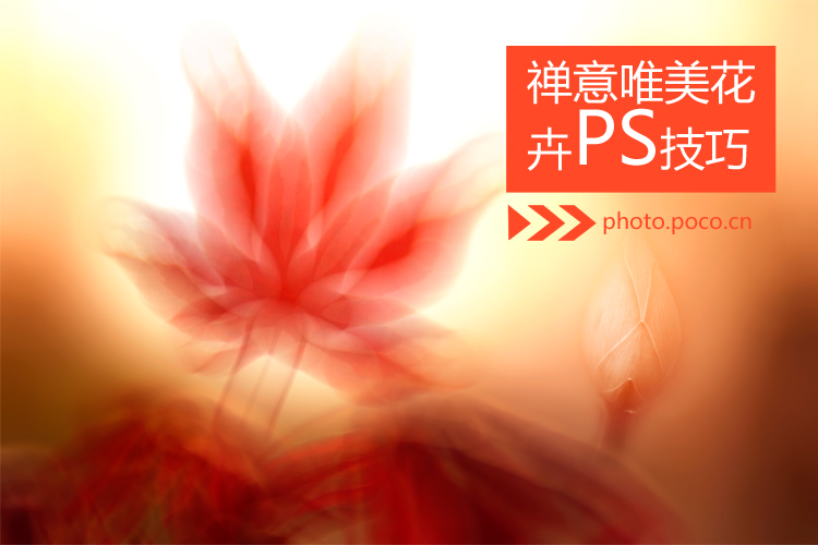 禅意唯美花卉PS技巧 全福编程网