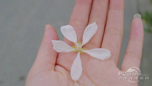 超简单滤镜处理 打造淡雅忧伤系好照片 全福编程网教程