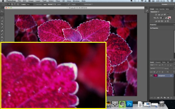 Photoshop CS6操作区局部图片截图