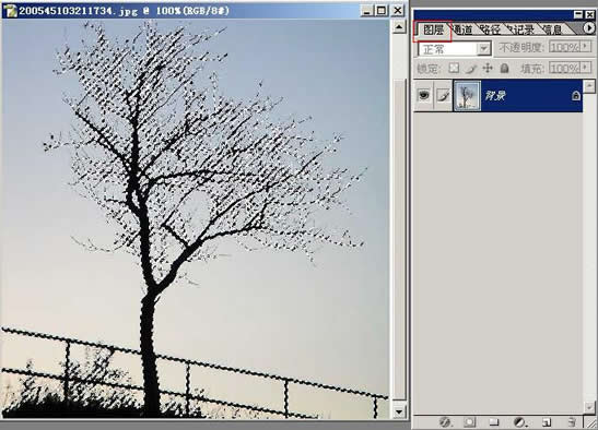 photoshop抠图教程-树枝抠图方法