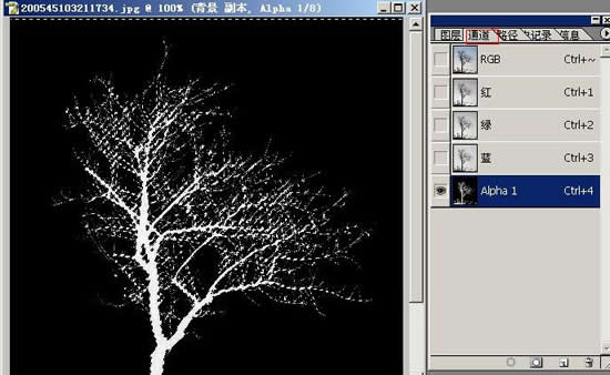 photoshop抠图教程-树枝抠图方法