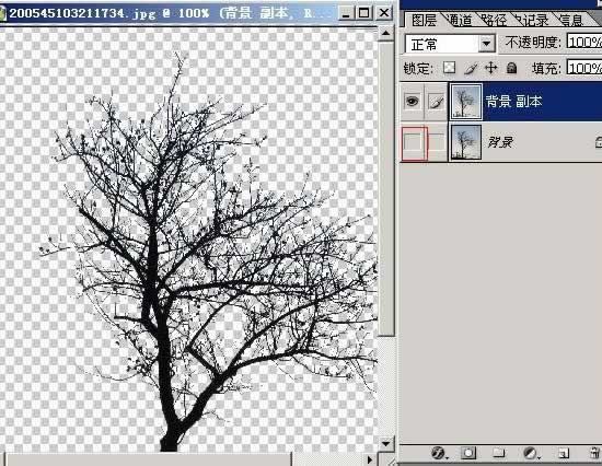 photoshop抠图教程-树枝抠图方法
