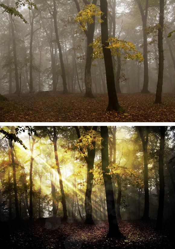 PhotoShop CS5打造梦幻光斑的树林场景效果教程 全福编程网