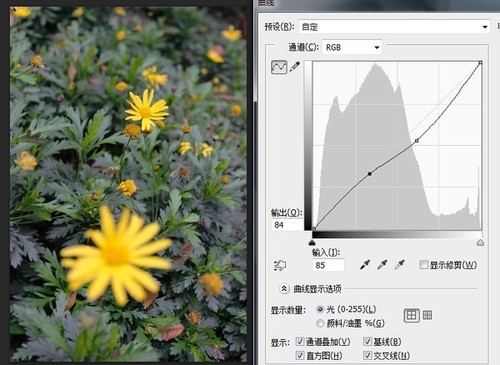 曲线实例 如何让画面更柔和舒服