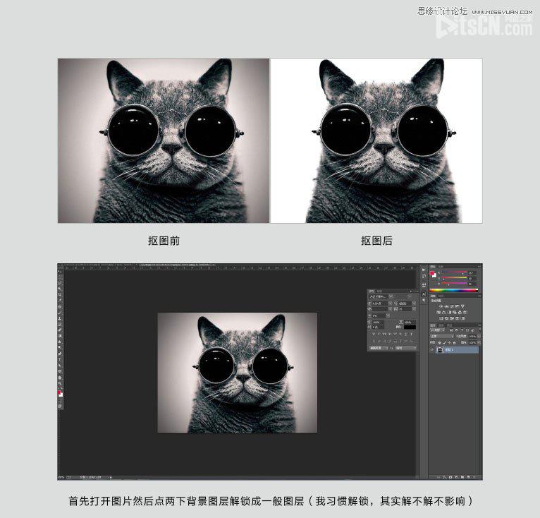 Photoshop使用通道给黑色猫咪抠图   全福编程网