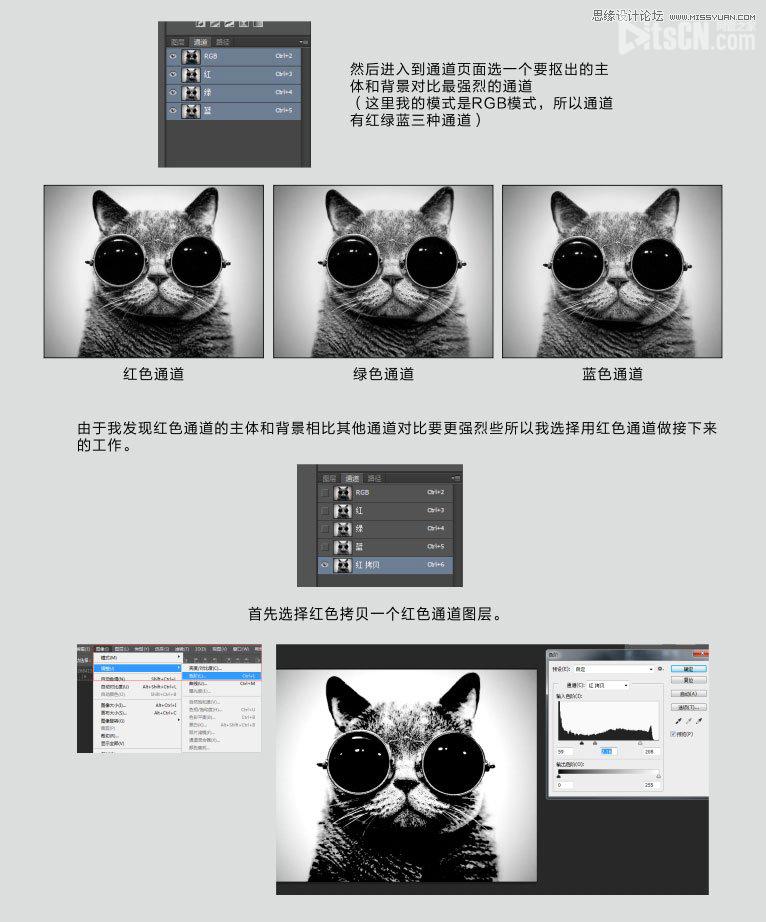 Photoshop使用通道给黑色猫咪抠图