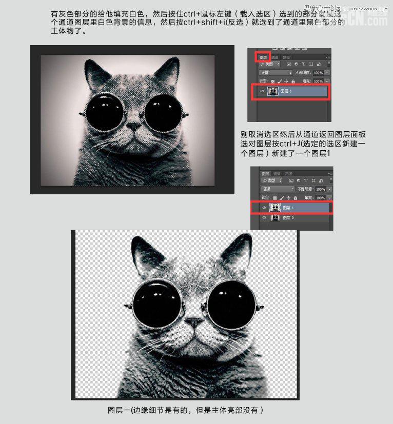 Photoshop使用通道给黑色猫咪抠图