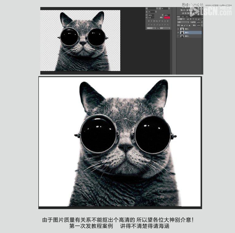 Photoshop使用通道给黑色猫咪抠图