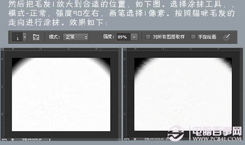 photoshop 鼠绘神态憨厚的小白猫头像 电脑百事网