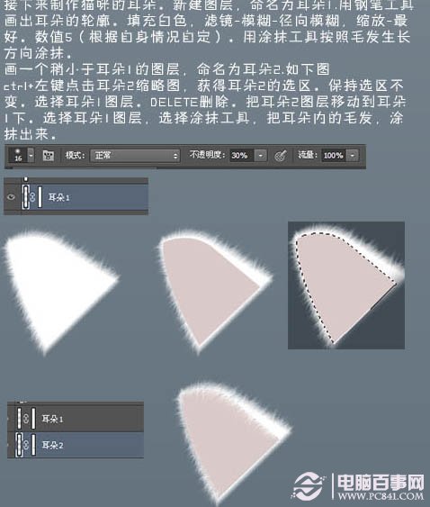 photoshop 鼠绘神态憨厚的小白猫头像 电脑百事网