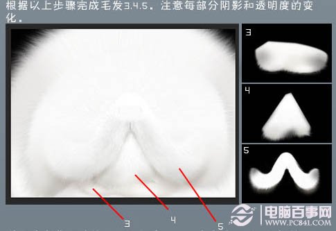 photoshop 鼠绘神态憨厚的小白猫头像 电脑百事网