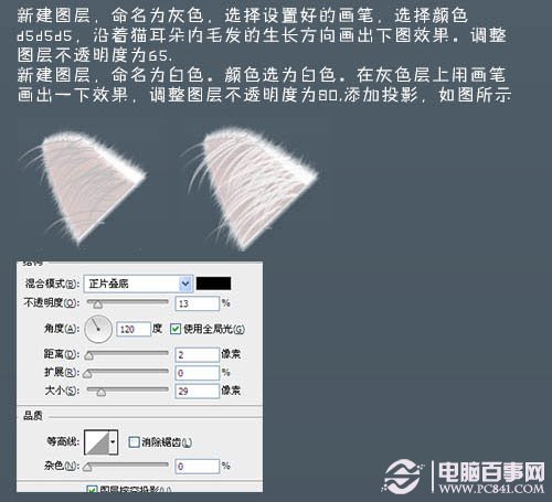 photoshop 鼠绘神态憨厚的小白猫头像 电脑百事网