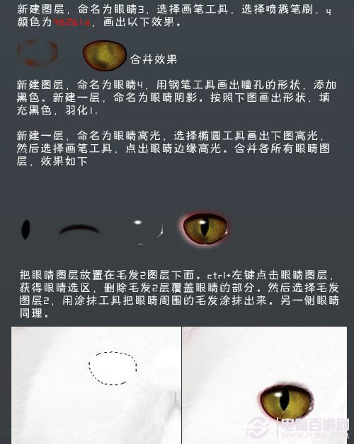 photoshop 鼠绘神态憨厚的小白猫头像 电脑百事网