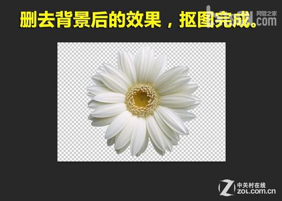 写给PS新手们 五大快速抠图技巧连连看 