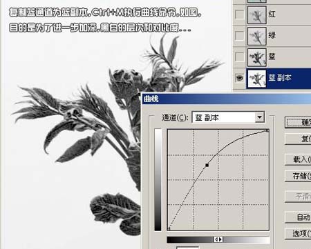 学习给植物照片抠图的PS教程