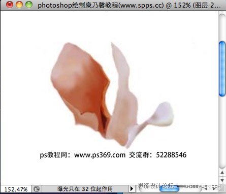 Photoshop绘制母亲节康乃馨教程,PS教程,思缘教程网