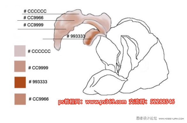 Photoshop绘制母亲节康乃馨教程,PS教程,思缘教程网