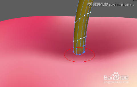 Illustrator网格工具制作逼真的红苹果教程,PS教程,思缘教程网