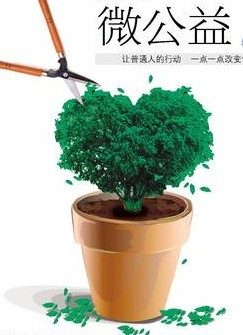 新浪微公益发布后的信息如何核实？全福编程网
