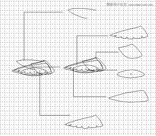 Illustrator制作可爱的蜂鸟教程