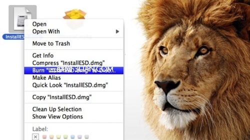 将Mac App Store的Lion刻到 DVD上 全福编程网