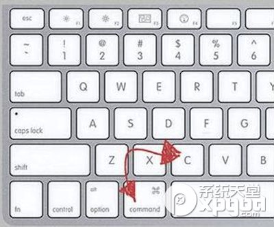 mac怎么复制黏贴？mac复制黏贴方法3