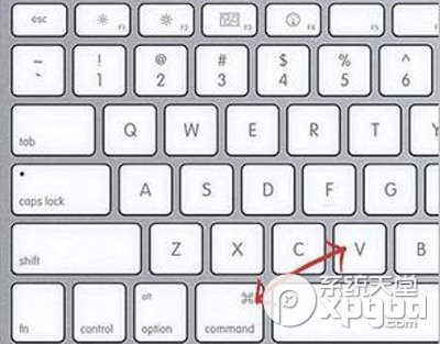 mac怎么复制黏贴？mac复制黏贴方法4